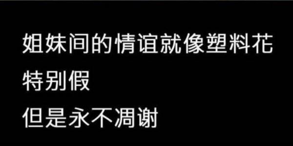 虚假的姐妹情谊表情包 友谊姐妹感情就像塑料花表情包无水印