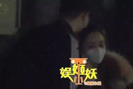 贾乃亮打李小璐图片大全 李小璐被贾乃亮打的照片