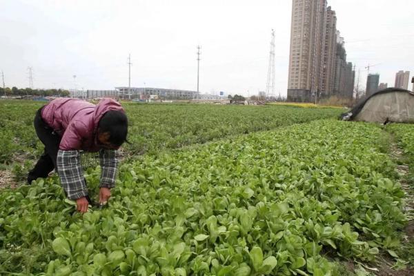 两会后的生活变化 省钱了吗？