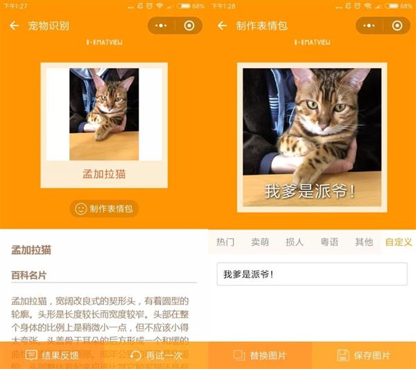 几款“吸猫”微信小程序：人猫交流器亮了