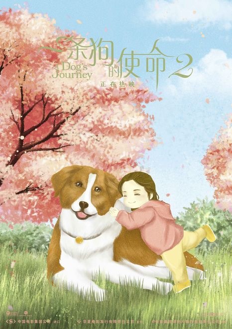  5月最强《一条狗的使命2》？萌犬暖人心一部治愈人心情的影视