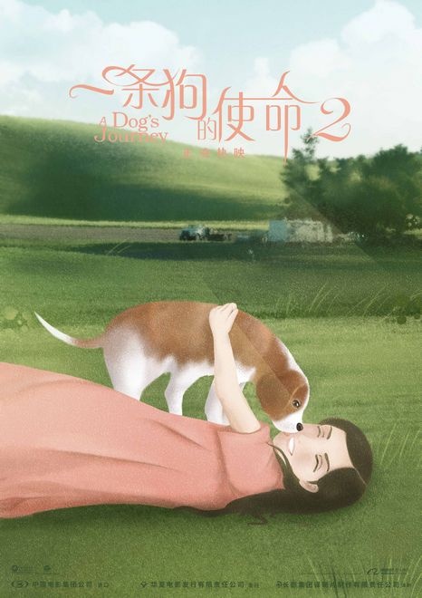  5月最强《一条狗的使命2》？萌犬暖人心一部治愈人心情的影视