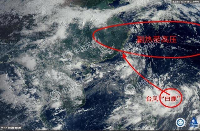 11号台风“白鹿”是怎么来的 “白鹿”本周末或登陆华南沿海