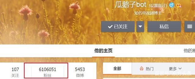 600万粉丝大V号网曝那英准备离婚 网友：要是不离就踹你!