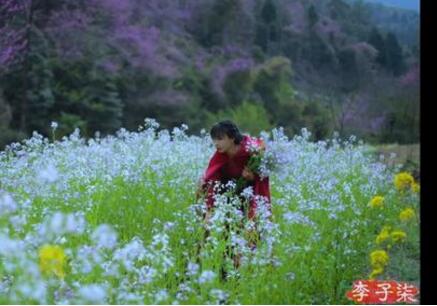 李子柒春日鲜花宴怎么回事 李子柒春日鲜花宴什么情况现场图