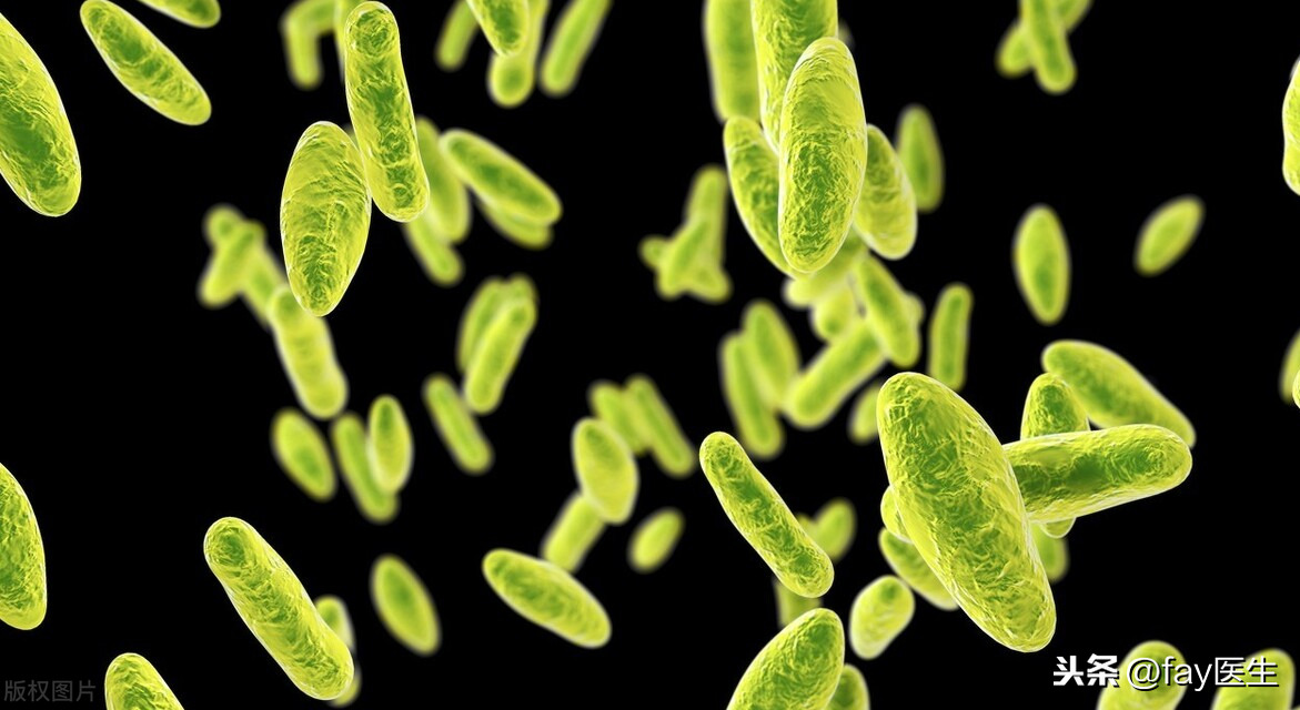 兰州兽研所布病确认阳性3245人，别怕，布鲁氏菌病能防能治