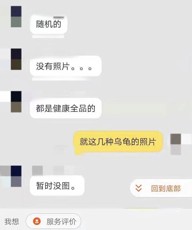 起底活体动物盲盒乱象:一经售出不退换 部分卖家无法提供健康证明