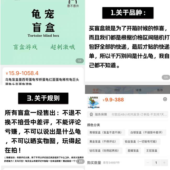 起底活体动物盲盒乱象:一经售出不退换 部分卖家无法提供健康证明