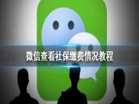 个人查询社保怎么查询 微信怎么查看社保缴费情况