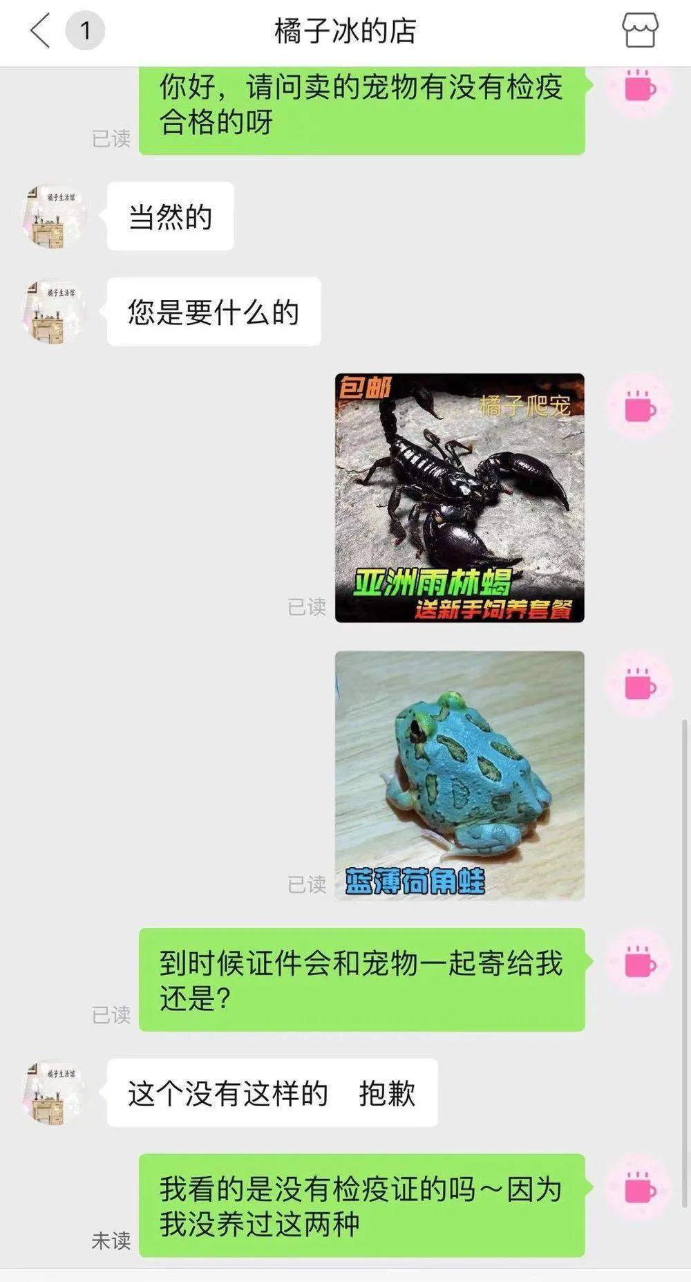 成都寄递宠物盲盒抽检结果