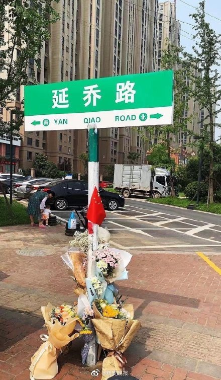 纪念青年烈士陈延年陈乔年 网友在合肥延乔路路牌下献花