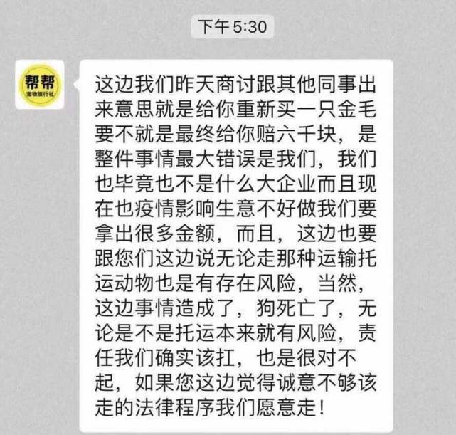 金毛Siri死亡后续：金毛托运途中死亡市监部门介入