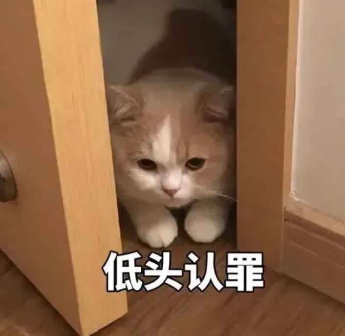 你老公走了吗猫猫表情包 你老婆走了吗猫咪表情包