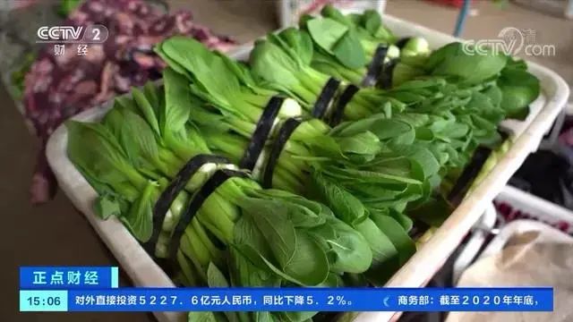 近期蔬菜为何跳涨？近期蔬菜上涨三大原因