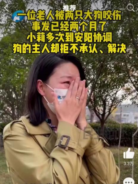 把小莉为难哭的狗主人想和解 狗主人是谁?