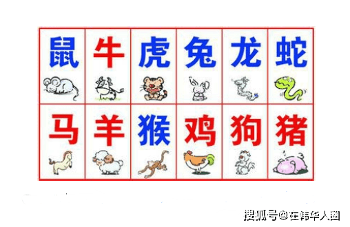 12生肖婚姻最佳配对