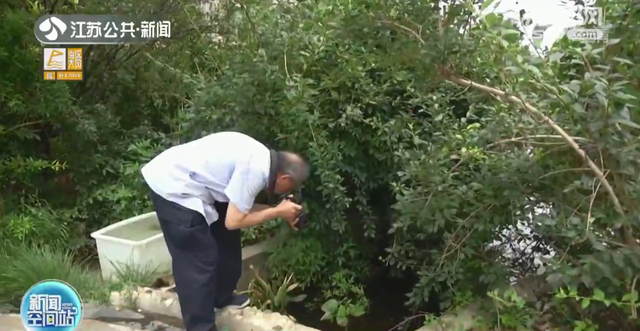 小区池塘发现2亿年前远古生物现象 连云港东海市民在小区池塘发现2亿年前物种