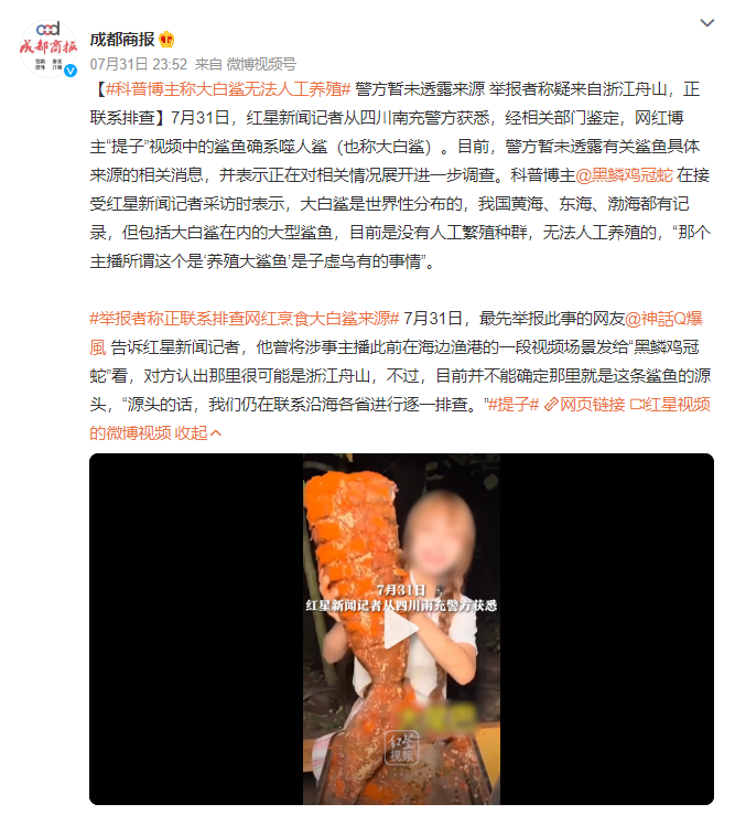 提子是谁 提子怎么了 提子大白鲨