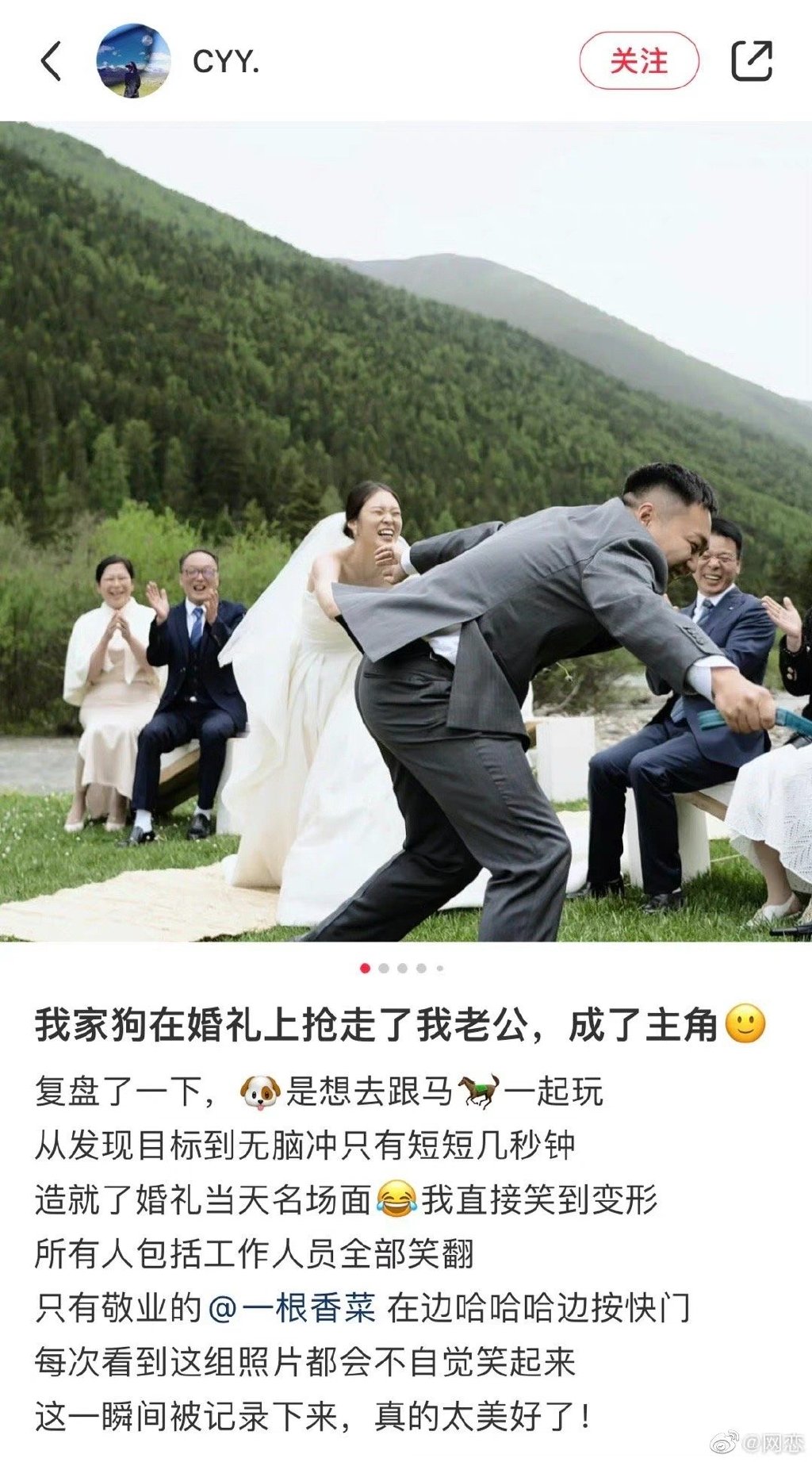 狗在婚礼上抢走了我老公 男朋友要把共同养的狗抢走 狗在婚礼上抢走了我老公怎么办