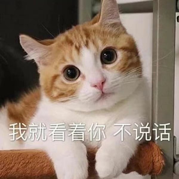 男子长期喂猪吃木瓜换火龙果遭猪白眼