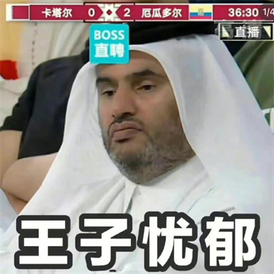 卡塔尔王子 世界杯 世界杯卡塔尔王子表情包 王子emo居然还有钱解决不了的问题