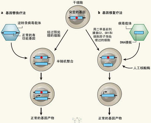 基因病就是遗传病吗