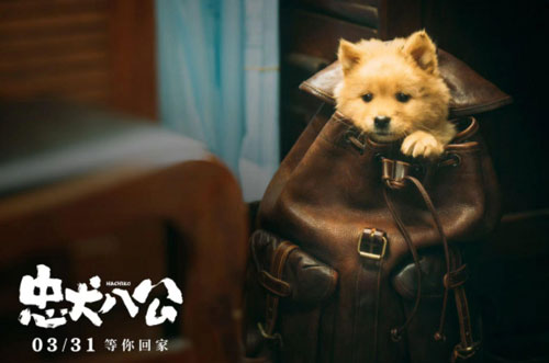 《忠犬八公》在线观看剧情 冯小刚、陈冲领衔主演