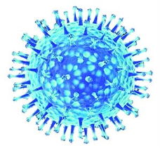 甲型流感病毒又叫什么