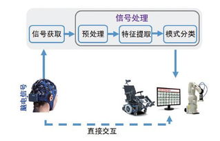 脑机接口最新进展