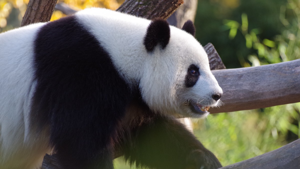 向福苑泼水的人后续 向福苑泼水的人是谁抖音号是什么