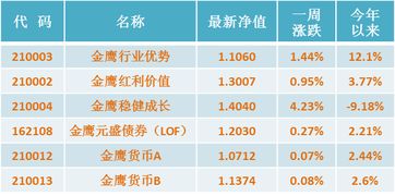 风险策略分析师