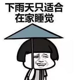 形容冷空气来袭的句子