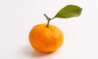 为什么洗澡不能吃橘子