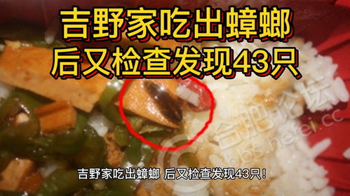 吉野家吃出蟑螂后，检查又发现 43 只，如何看待此事？食品卫生如何保证？