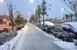 河南三月突降暴雪，桃花被雪覆盖，多地发布红色预警，郑州机场航班延误，哪些原因导致的？出行需要注意什么？