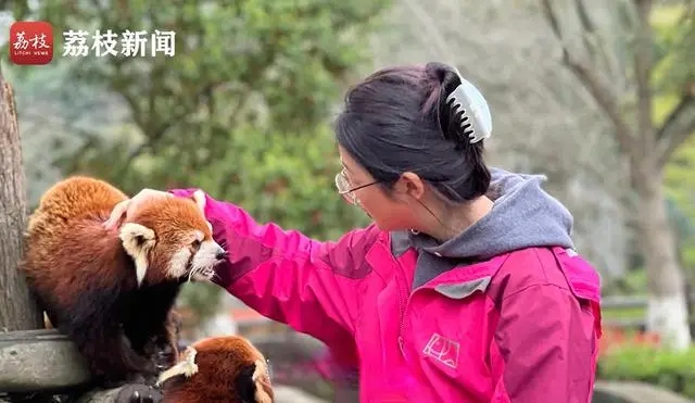 95后设计师辞职当动物饲养员：动物治愈了我的精神内耗