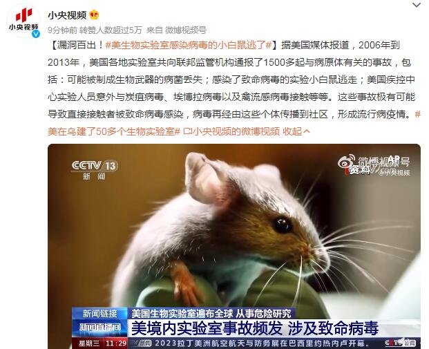 事故频发 美生物实验室感染病毒的小白鼠逃了