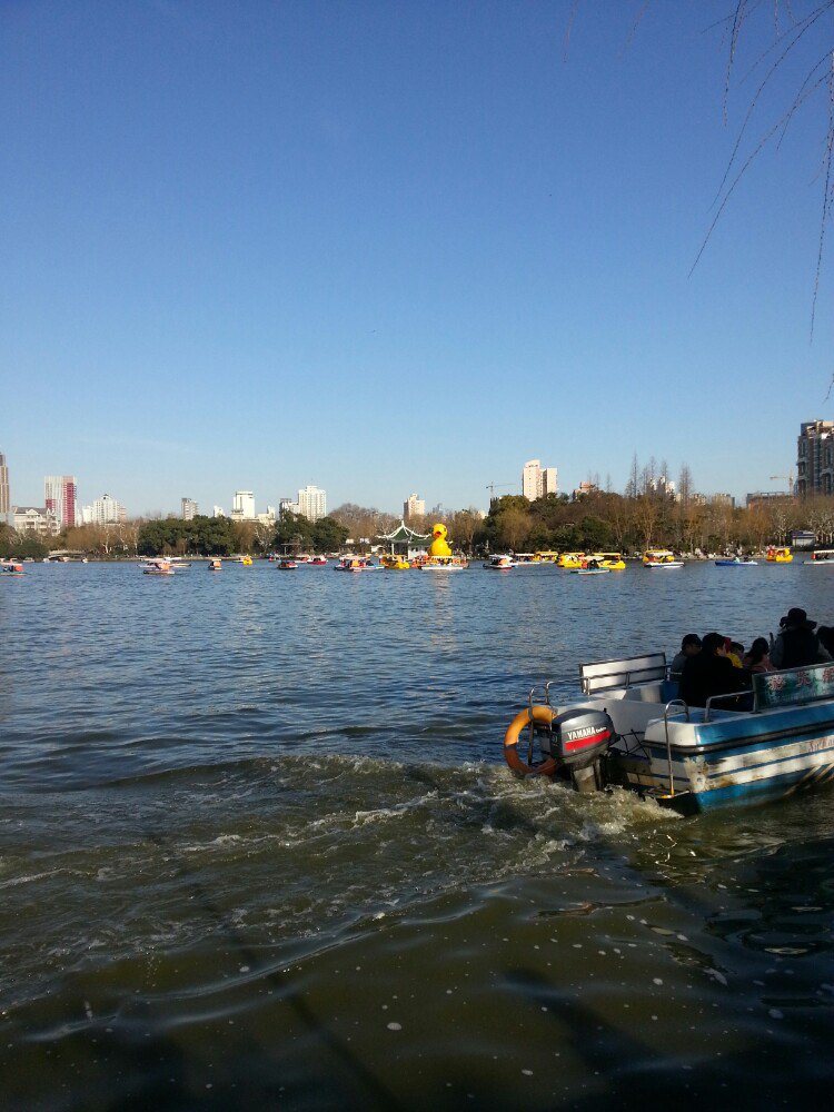 上海长风公园门票(上海长风公园门票价格)