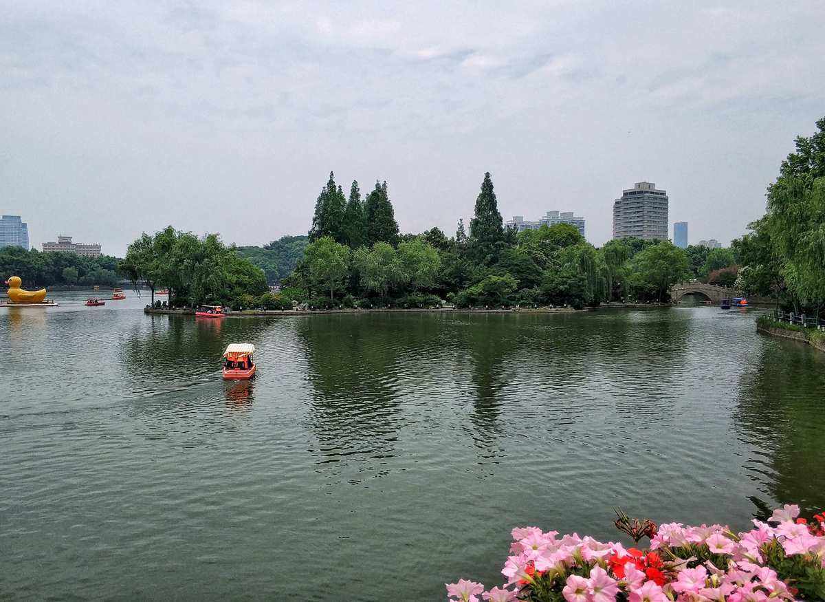 上海长风公园门票(上海长风公园门票价格)