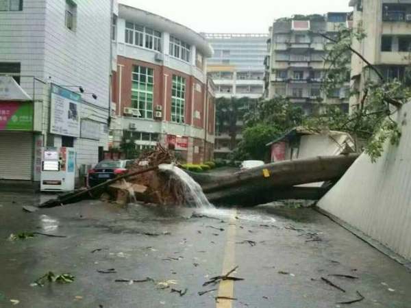 莫兰蒂台风几级 莫兰蒂台风几级登陆厦门