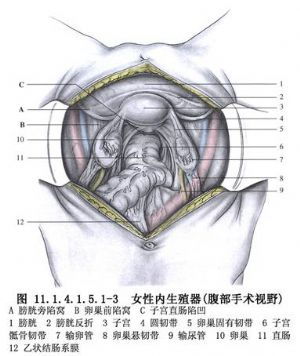 #腹膜外剖腹产#剖腹产后平躺好还是侧躺好？