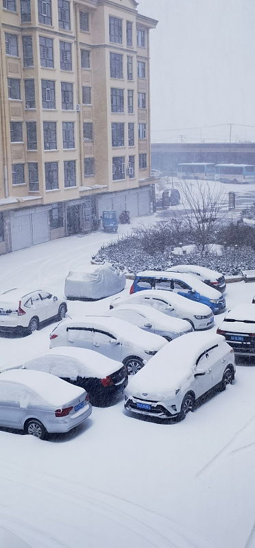 东北今冬首场强降雪极端性强_东北十一月份下雪了吗？