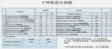 卫健委五问五答儿童呼吸道感染问题_国家卫健委五问五答儿童呼吸道感染患儿家庭关心问题