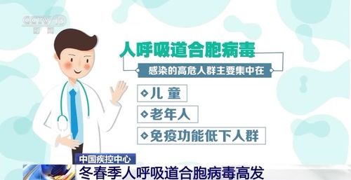 呼吸道合胞病毒感染高危人群_合胞病毒流行，5岁以下是高危人群