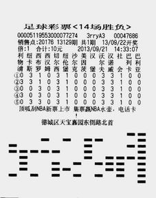 胡锡进谈彩民花10万元中2.2亿大奖_后续来了，大咖胡锡进发声彩民10万中2.2亿大奖：有必要严格审查