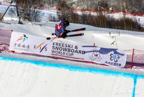 自由式滑雪U型场地世界杯决赛_国际雪联自由式滑雪U型场地世界杯云顶站决赛，谷爱凌带伤夺冠