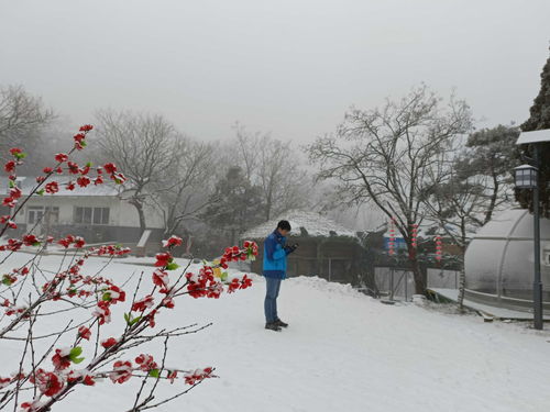 #济南 雪呢#三预警齐发！今日中午到前半夜济南有暴雪，中小学幼儿园学生居家学习