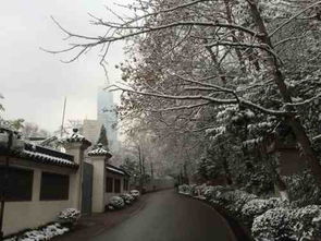 江苏开始飘雪啦_刚刚，江苏多地下雪！你见到雪花了吗？