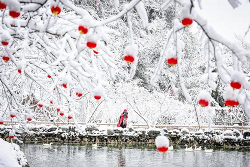 南方多地迎降雪_注意！南方多地将有大到暴雪