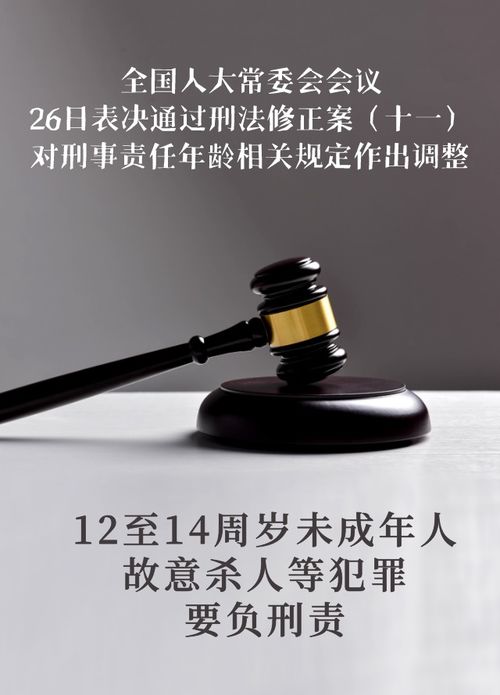 12岁以上可担刑责_【12岁以上可担刑责】未来犯罪防线，青少年教育与法律责任的新